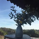 Hébergement de vacances Domo Sara Orosei