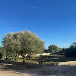 Hébergement de vacances Domo Sara