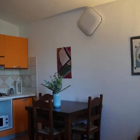 Domo Sara * 오로세