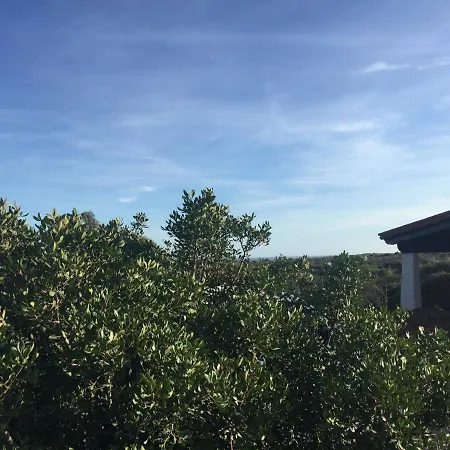 Domo Sara * 오로세