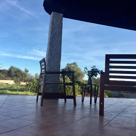 Domo Sara * 오로세