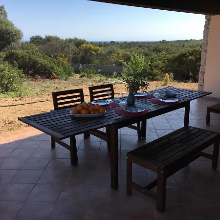 Domo Sara * 오로세