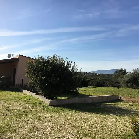 Domo Sara * 오로세