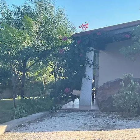 Domo Sara * 오로세