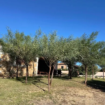 펜션 Domo Sara 오로세