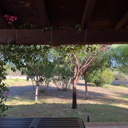 Domo Sara * 오로세