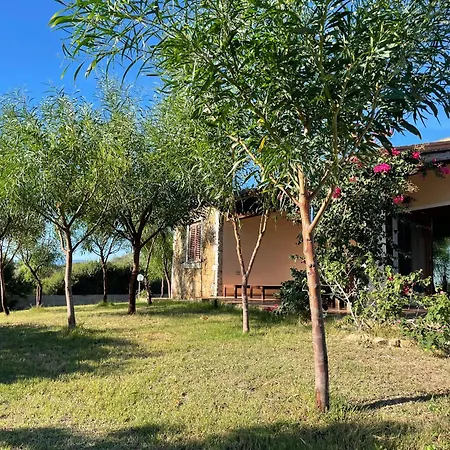 Domo Sara * 오로세